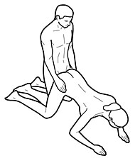 Doggy-Style - Hündchenstellung