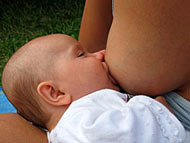 Säugen an der Mutterbrust