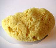 Naturschwamm- Menstruationsschwämmchen